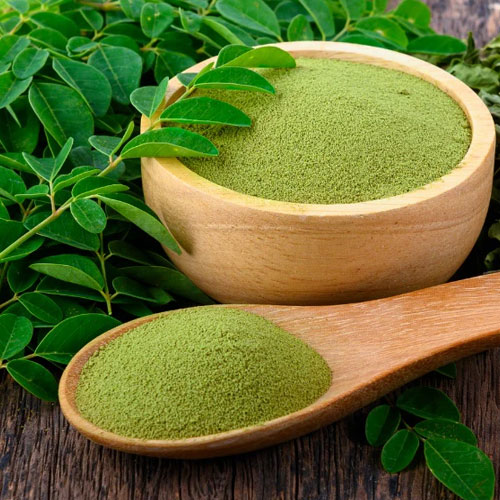 Chemical & Fertilizers